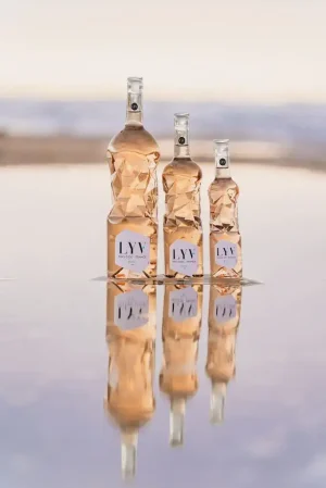 Les succès des bouteilles en verre design Bouteille : Serac